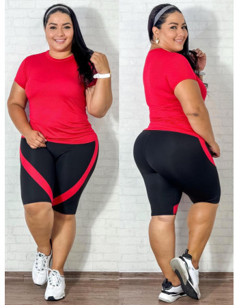 CONJUNTO PL